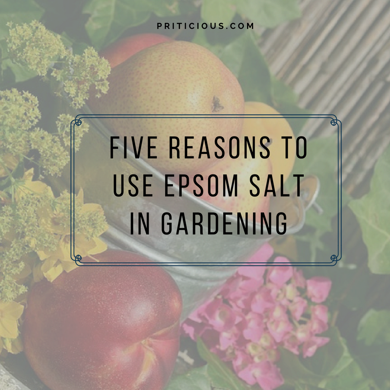 Five reason to use epsom salt in gardening
