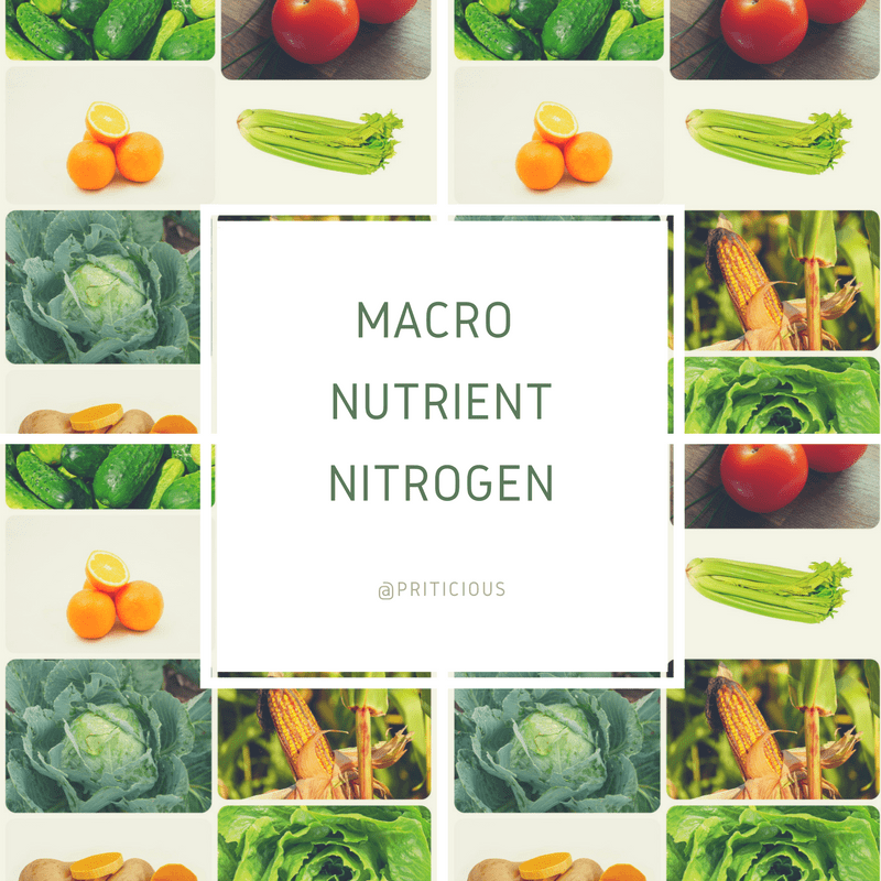 Macro-nutrient-nitrogen